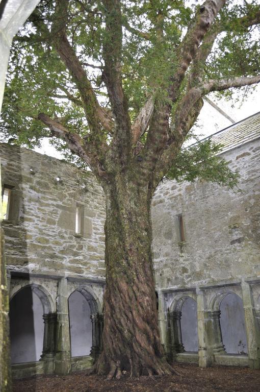 Shepherds Lodge B&B Killarney Exterior photo