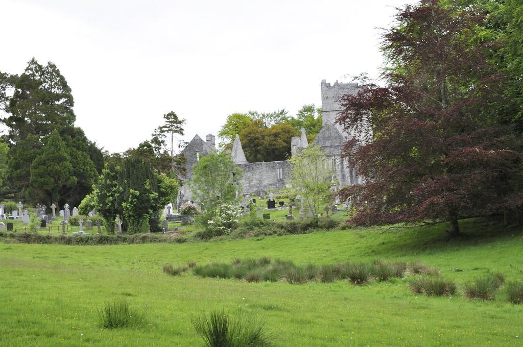 Shepherds Lodge B&B Killarney Exterior photo