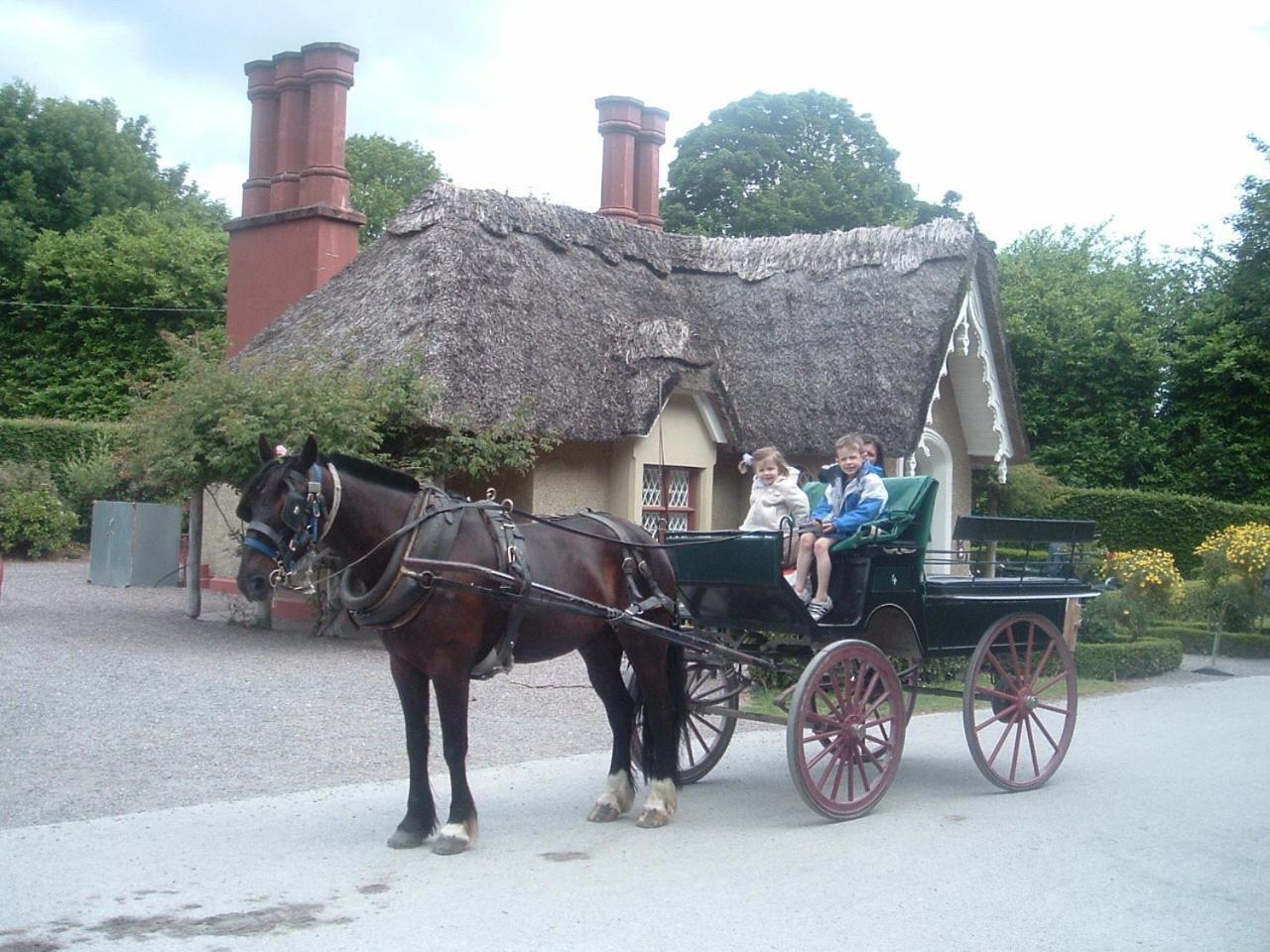 Shepherds Lodge B&B Killarney Exterior photo