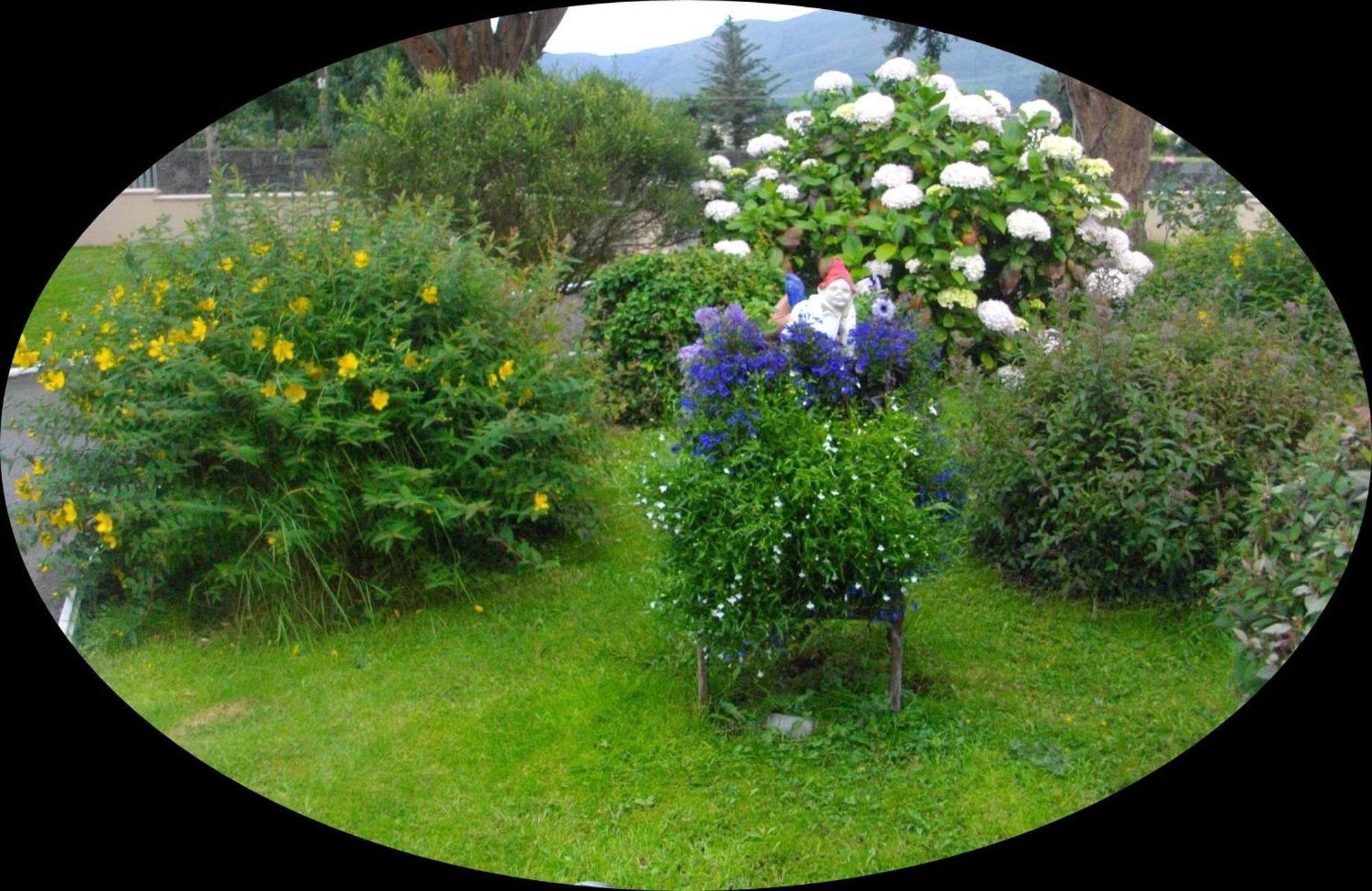 Shepherds Lodge B&B Killarney Exterior photo